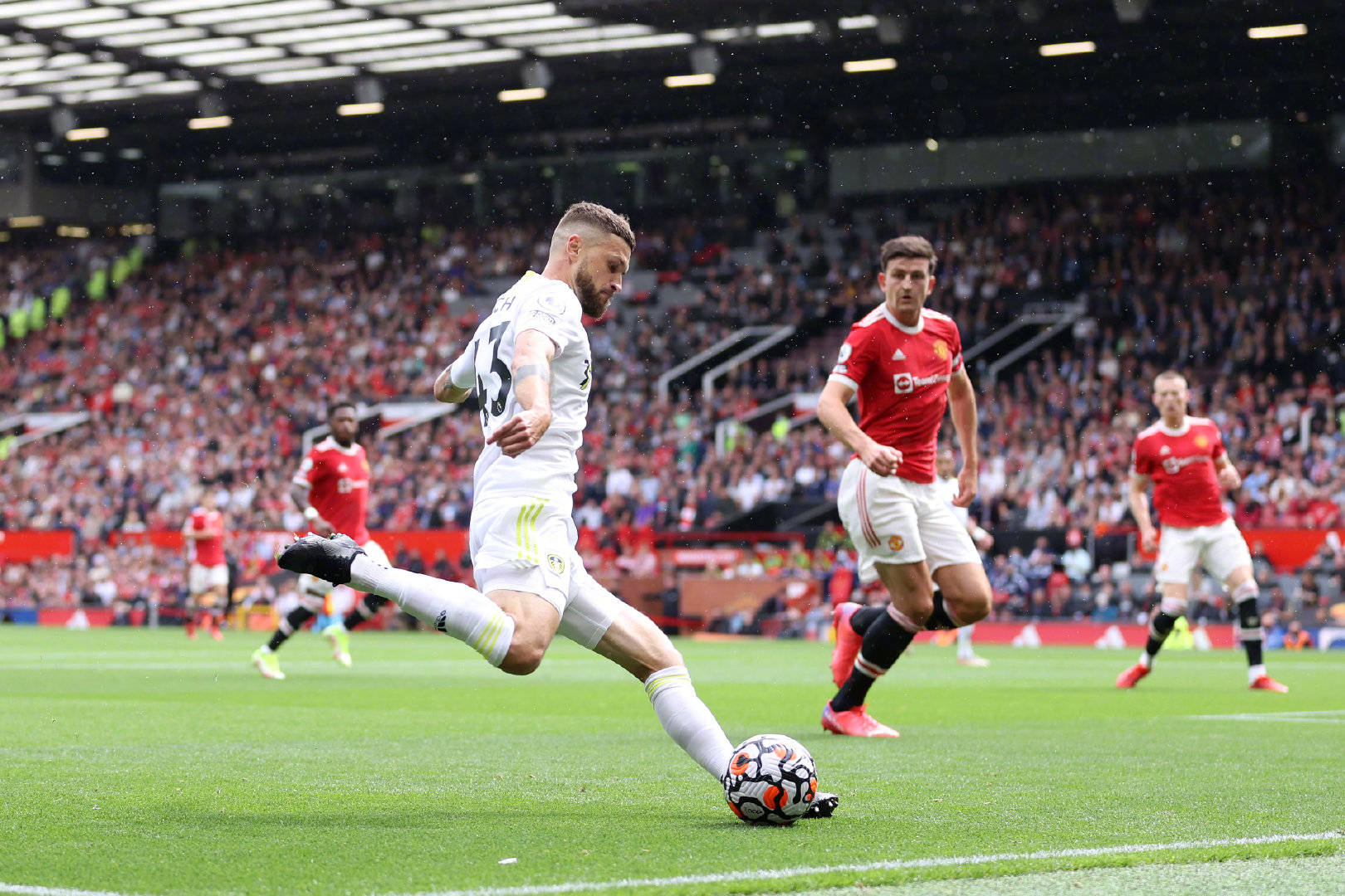 这些公寓的 这些公寓的